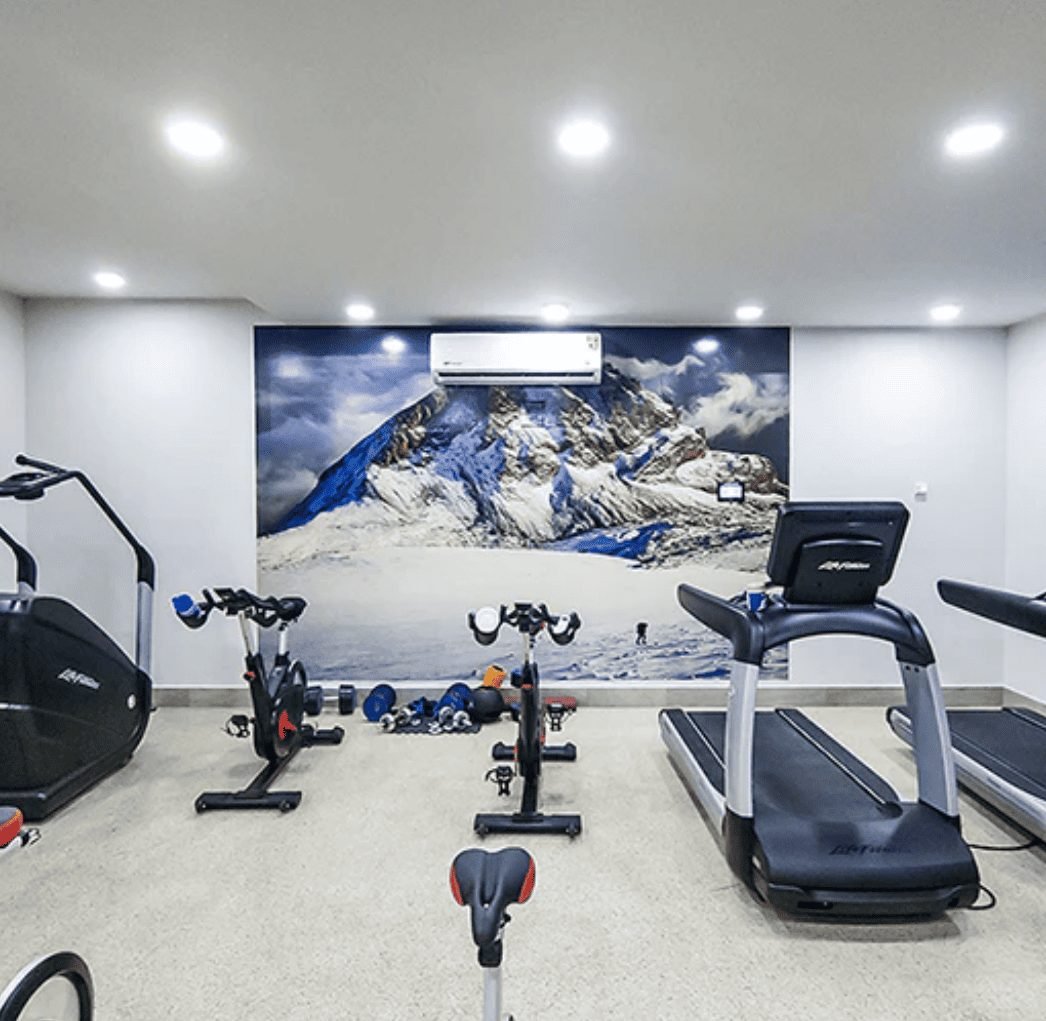 Luxury home gym installation context